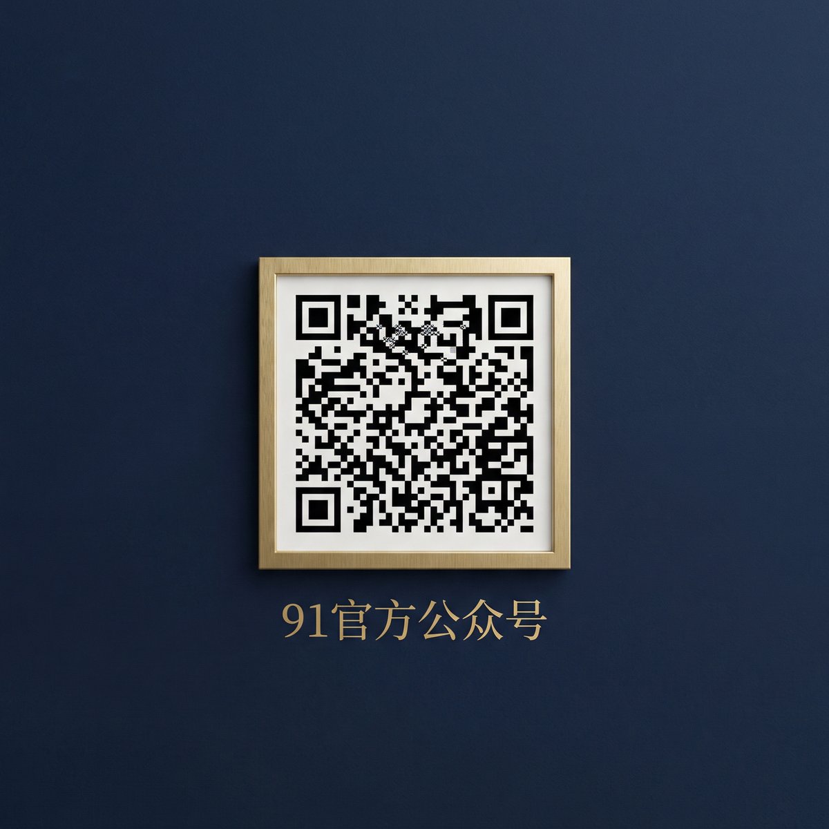 91官方公众号二维码